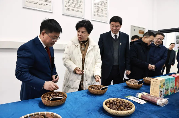 威廉希尔中文网站平台